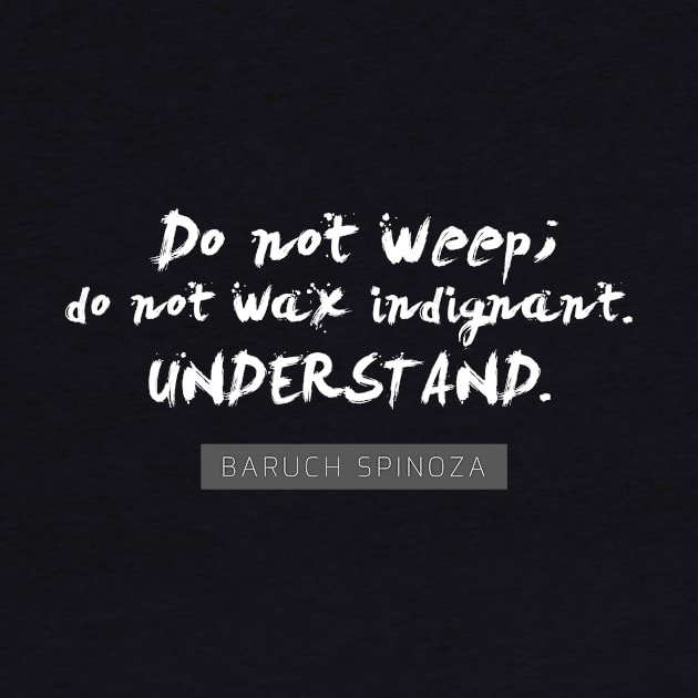 Do not weep; do not wax indignant. Understand by onebadday